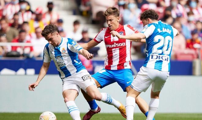 仅是辽宁和 仅是辽宁和